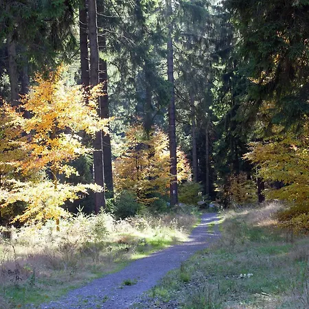 Gemuetliche Mit Kamin In Dresden-freital Rabenau