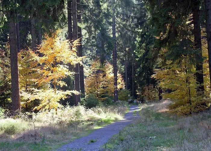 In Dresden-freital Rabenau